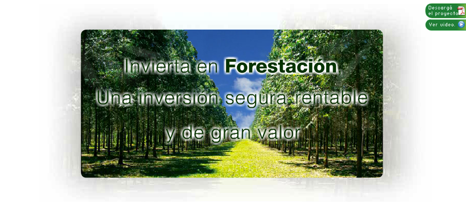 Inversión Forestal